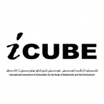 cropped-Favicon-iCube-512px.png