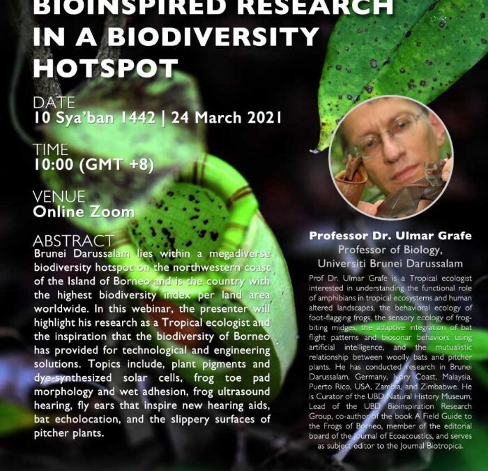 Bioinspired Research In Biodiversity Hotspot